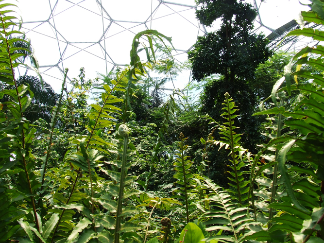 Picture: The Eden Project, Image Credit: Photographer Katrina Malley