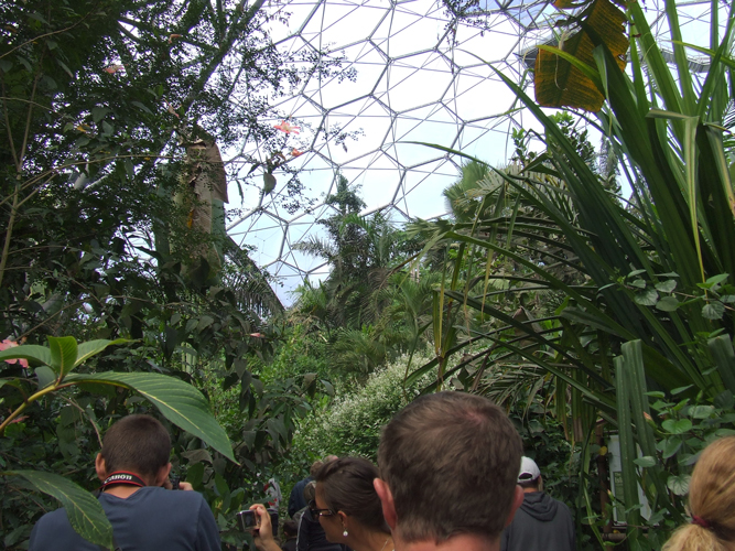 Picture: Tour through the Eden Biome, Image Credit: Photographer Katrina Malley